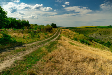 Summer landscape with green grass, road and clouds