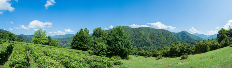 Obraz premium Foothills of the Caucasus mountains landscape panorama