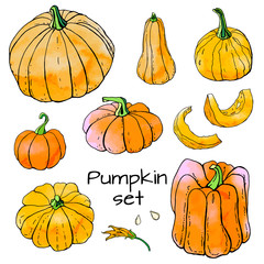Collection of bright orange autumn pumpkin doodles. Fall harvest. Vector stock set. Cute icons with watercolor texture. Can be used for printed materials. Hand drawn. Halloween, thanksgiven.