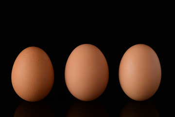 たまご　背景黒