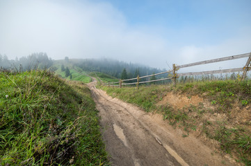 rural foggy road in village