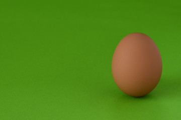 たまご　背景綠