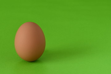 たまご　背景綠