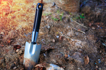 Trowel for planting soil,Shovel on soil backgound,Small garden shovel