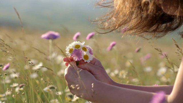 Woman is holding camomiles and pink wild flowers in her hands. Woman with gorgeous brown hair lit by the sun and waving in the wind. 4K