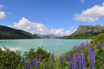 Obraz premium Stausee Kops in Montafon-Vorarlberg