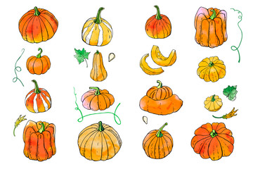 Collection of bright orange autumn pumpkin doodles. Fall harvest. Vector stock set. Cute icons with watercolor texture. Can be used for printed materials. Hand drawn. Halloween, thanksgiven.