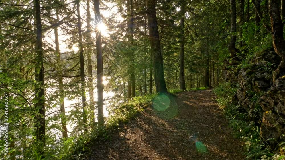 Aufkleber Walking the path in the forest lit by several suns some of which are reflections in the lake. Rays of sun are shining through stems and branches of trees during sunset. 4K