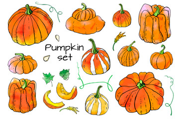 Collection of bright orange autumn pumpkin doodles. Fall harvest. Vector stock set. Cute icons with watercolor texture. Can be used for printed materials. Hand drawn. Halloween, thanksgiven.