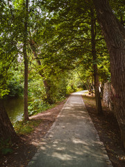Fußweg am Fluss unter Bäumen 
