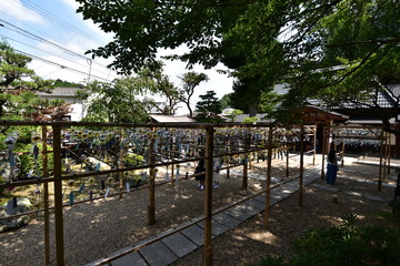 日本の風鈴の正寿院