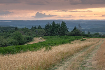Abendblick in ein Tal, Evening view in a valley