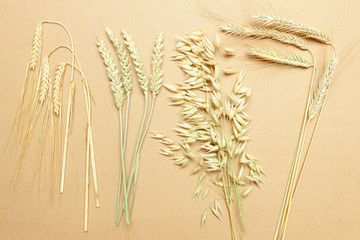 Verschiedene Sorten Getreide, Weizen, Roggen, Hafer, Gerste