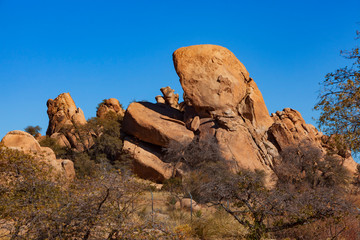 Desert landscape, Arizona.