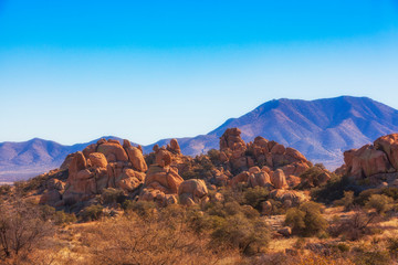 Naklejka na ściany i meble Desert landscape, Arizona.