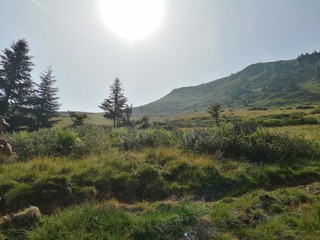 Direction Etang d'Ayès, Ariège, Pyrénées, France