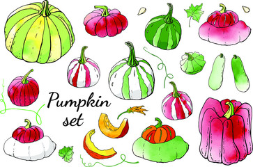 Collection of green and red autumn pumpkin doodles. Fall harvest. Vector stock set. Cute icons with watercolor texture. Can be used for printed materials. Food background. Hand drawn.