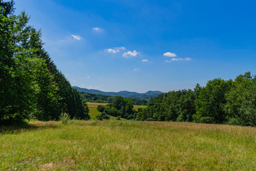Landscape with meadows trees and hills