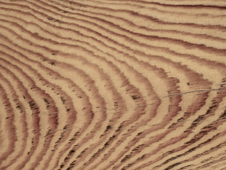 Fototapeta na wymiar Wood texture closeup pine. Natural wooden background. Top view.