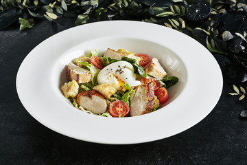 Exquisite Serving White Restaurant Plate of Homemade Chicken and Anchovies Caesar or Cesar Salad