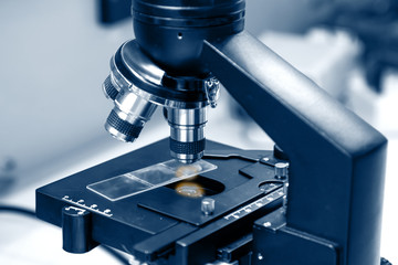 Microscope objectives and slide stage