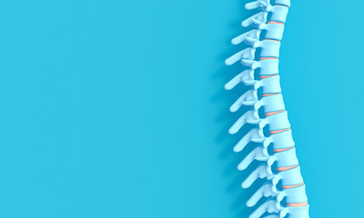3d render image of a spine on a blue background.