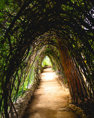 Gaudi House Backyard