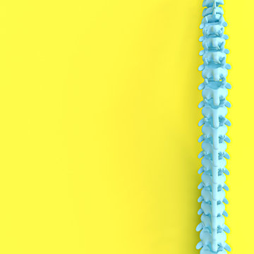 3d render image of a spine on a yellow background.