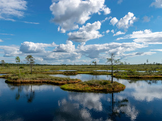 colorful view of the bog with clouds