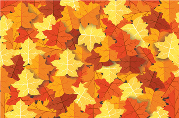 Autumn leaves background vector illustration EPS10