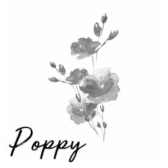 Beautiful flower art water color illustration art