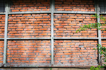 Wall from the brick stones. Green branches. New building.