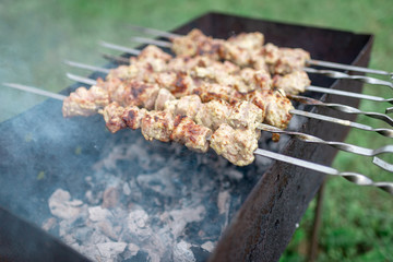 The process of cooking raw meat on skewers and on corner, metal grill. Juicy and fragrant meat. Blurred green background of grass