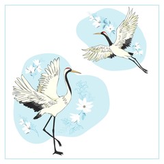 Set of birds. Crane, stork, heron. Vector.