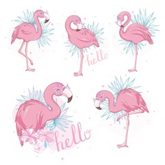 Pink flamingo vector cartoon flat set. Exotic tropical bird icons collection isolated on white background.