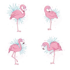 Fototapeta premium Pink flamingo vector cartoon flat set. Exotic tropical bird icons collection isolated on white background.