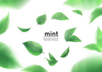 Mint leaves whirl in the air. Element for design, advertising, packaging products .white background 3d illustration © mariia_may
