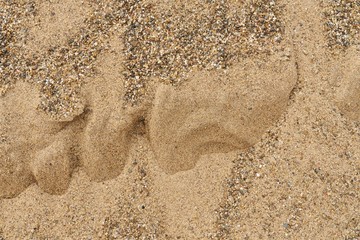 Sand texture background. Abstract closeup