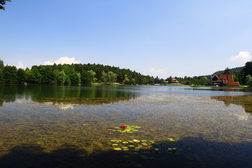 Obraz premium landscape with lake
