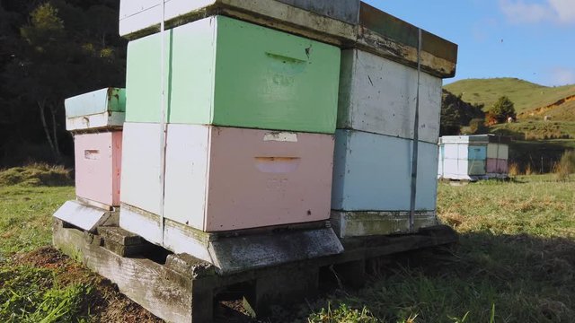 Colourful farmland honey beehive boxes