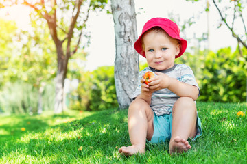 Portrait of happy Cute adorable toddler boy sitting on green grass and eating ripe juicy organic apple in fruit garden under trees. Funny caucasian blond child enjoying harvesting fruits in orchard