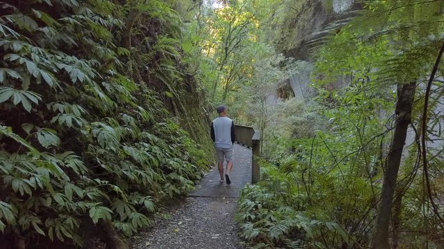 Walking up to Mangapohue Natural Bridge