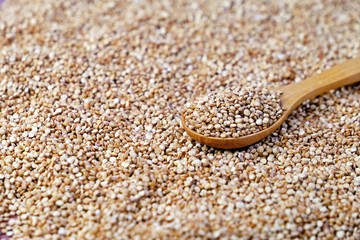 Wooden spoon full of quinoa on quinoa background. Selective focus.