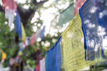 Buddhistic prayer flags hanging in a garden in Lumbini, Nepal