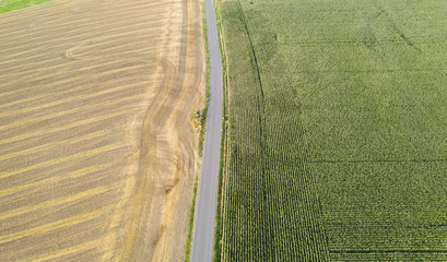 Feld geteilt mit Stra&szlig;e (senkrecht) von oben