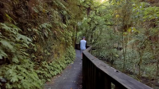 Walking up to Mangapohue Natural Bridge