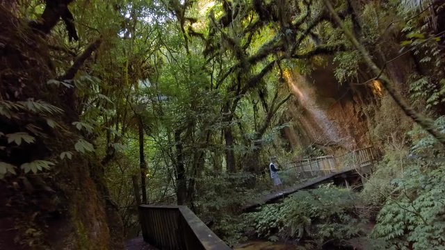 Walking up to Mangapohue Natural Bridge