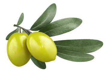 Olive branch with two delicious green olives, isolated on white background