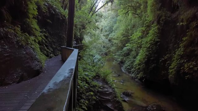 Walking up to Mangapohue Natural Bridge