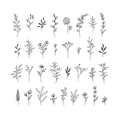 Hand drawn floral illustrations collection on white background